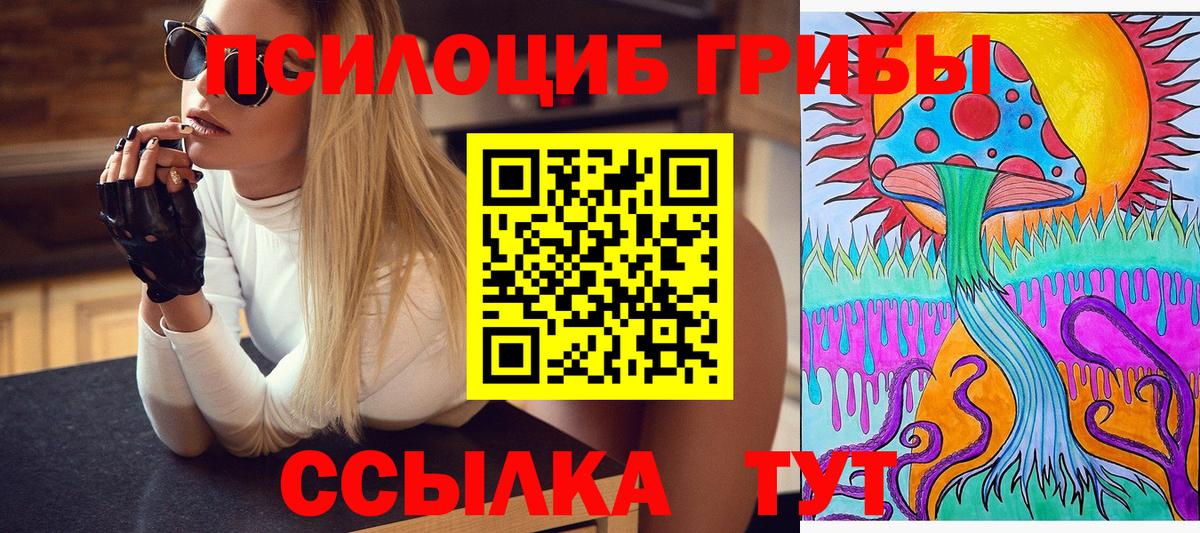 Псилоцибиновые грибы Psilocybine cubensis Улан-Удэ