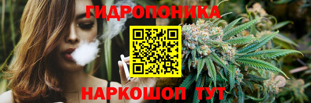 Канабис сатива Улан-Удэ